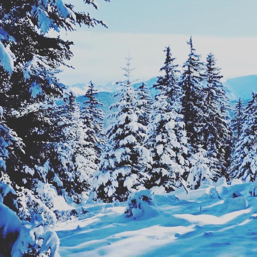 La Kabylie Au Coeur Des 3 Vallees Internet Tout Compris Tarascon-sur-Ariège Exterior foto